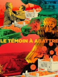 DVD Le Témoin à Abattre (1975)