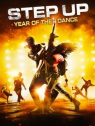 DVD Step Up - Year Of The Dance