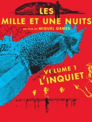 DVD Les Mille Et Une Nuits : Volume 1, L'inquiet