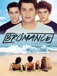 DVD Bromance