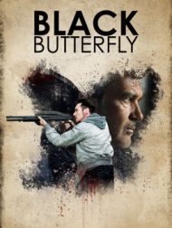 DVD Black Butterfly