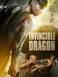 DVD Invincible Dragon