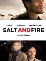 DVD Salt And Fire