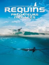 DVD Requins : Prédateurs Menacés