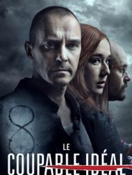 DVD Le Coupable Idéal