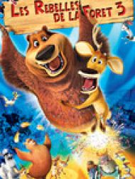 DVD Les rebelles de la forêt 3