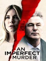 DVD An Imperfect Murder
