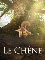 DVD Le Chêne (2022)