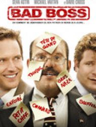 DVD Bad Boss