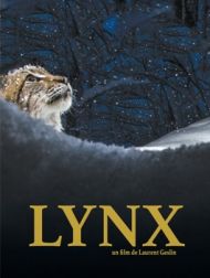 DVD Lynx