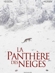 DVD La Panthère Des Neiges