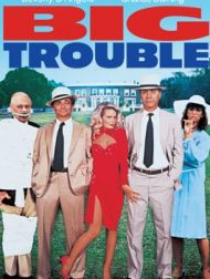 DVD Big Trouble