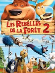 DVD Les rebelles de la forêt 2
