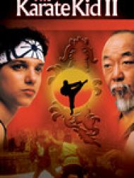 DVD Karaté Kid 2