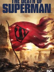 DVD La Mort De Superman