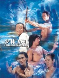 DVD Les 5 Maîtres De Shaolin