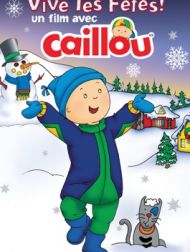 DVD Vive Les Fêtes ! Un Film Avec Caillou