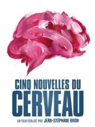 DVD Cinq Nouvelles Du Cerveau