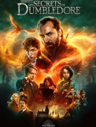 DVD Les Animaux Fantastiques 3 : Les Secrets De Dumbledore