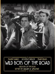 DVD Wild Boys Of The Road