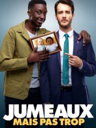 DVD Jumeaux Mais Pas Trop