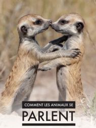 DVD Comment Les Animaux Se Parlent