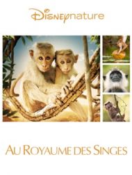 DVD Au Royaume Des Singes