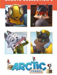 DVD Arctic Friends: Shorts Collection 3