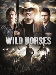 DVD Wild Horses (2015)