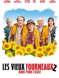 DVD Les Vieux Fourneaux 2 : Bons Pour L'asile