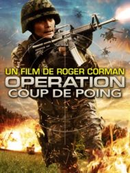 DVD Opération Coup De Poing