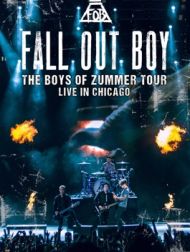 DVD Fall Out Boy: Boys Of Zummer: Live In Chicago
