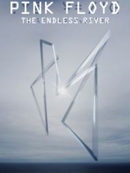 DVD The Endless River