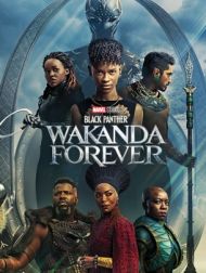 DVD Black Panther: Wakanda Forever