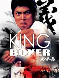 DVD King Boxer