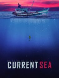 DVD Current Sea