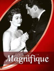 DVD Le Secret Magnifique