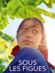 DVD Sous Les Figues