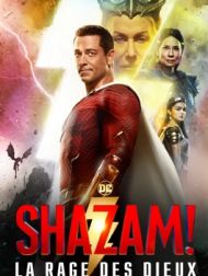 DVD Shazam! La Rage Des Dieux