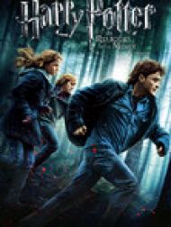 DVD Harry Potter et les reliques de la mort : Partie 1