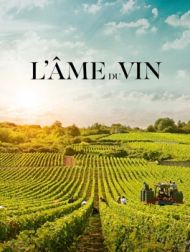DVD L'âme Du Vin