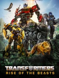 DVD Transformers: Rise Of The Beasts
