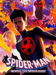 DVD Spider-Man : Across The Spider-Verse