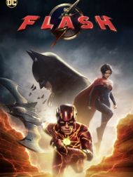 DVD The Flash