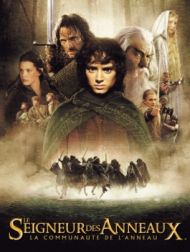 DVD Le Seigneur Des Anneaux - La Communauté De L'anneau