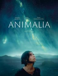 DVD Animalia