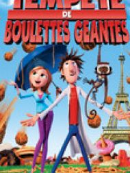 DVD Tempête de boulettes géantes