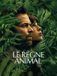 DVD Le Règne Animal