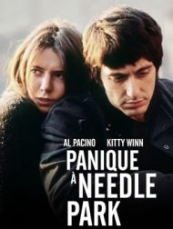 DVD Panique à Needle Park