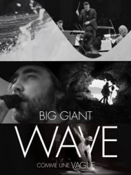 DVD Comme Une Vague (Version Sous-titrée)